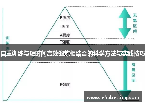 自重训练与短时间高效锻炼相结合的科学方法与实践技巧