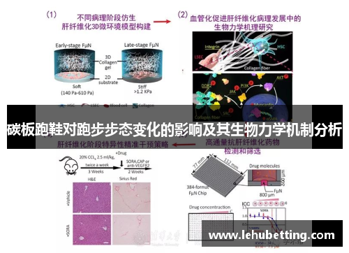 碳板跑鞋对跑步步态变化的影响及其生物力学机制分析