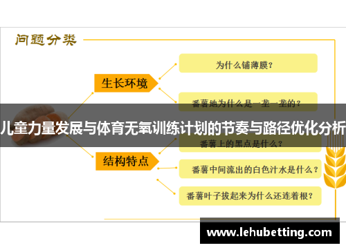 儿童力量发展与体育无氧训练计划的节奏与路径优化分析